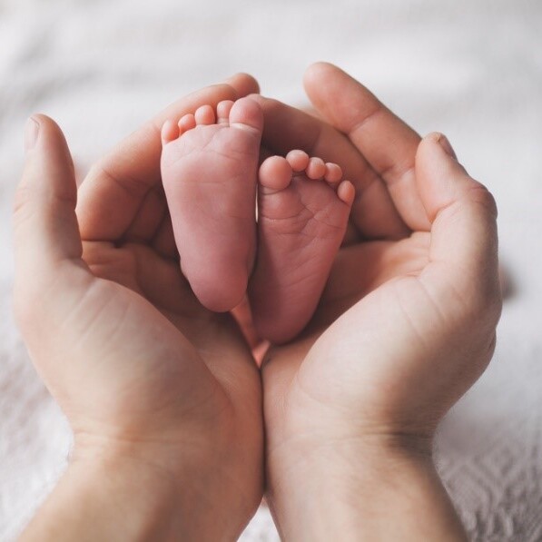 immagine rappresentativa del corso